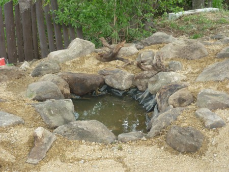 Jezero je už také plné